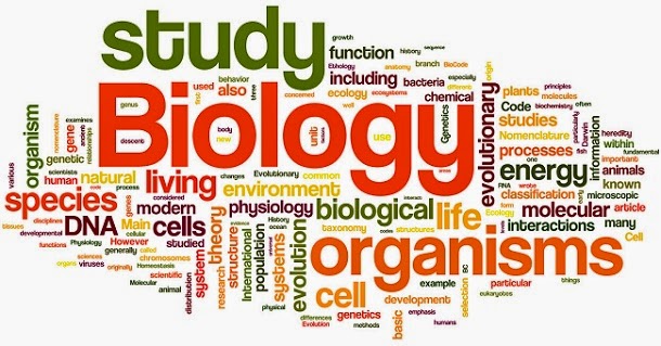 BIOLOGI X (DL) - 2526